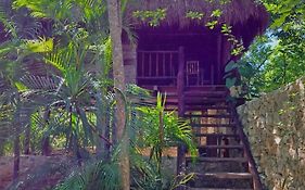 Casa Mango